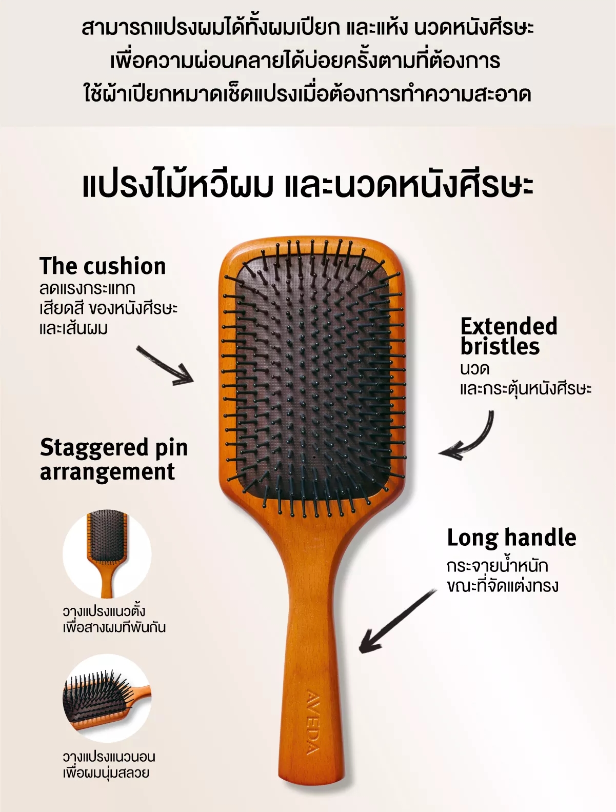 Aveda, Aveda รีวิว, Aveda ราคา, Aveda Mini Paddle Brush, Aveda Mini Paddle Brush รีวิว, Aveda Mini Paddle Brush ราคา, Aveda Mini Paddle Brush แปรงหวีผม, Aveda หวี, แปรงหวีผม